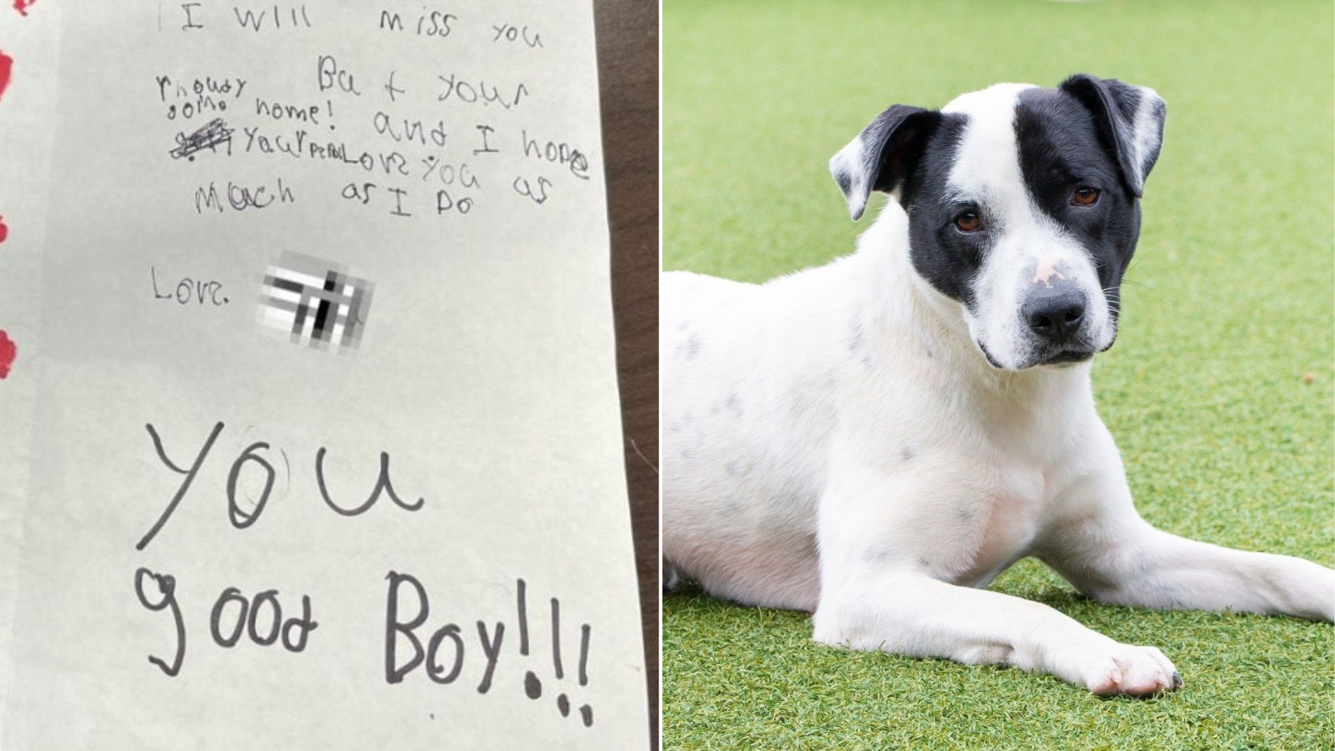 South Carolina Kids’ Touching Note Left With Their Surrendered Dog Sparks Emotional Reactions
