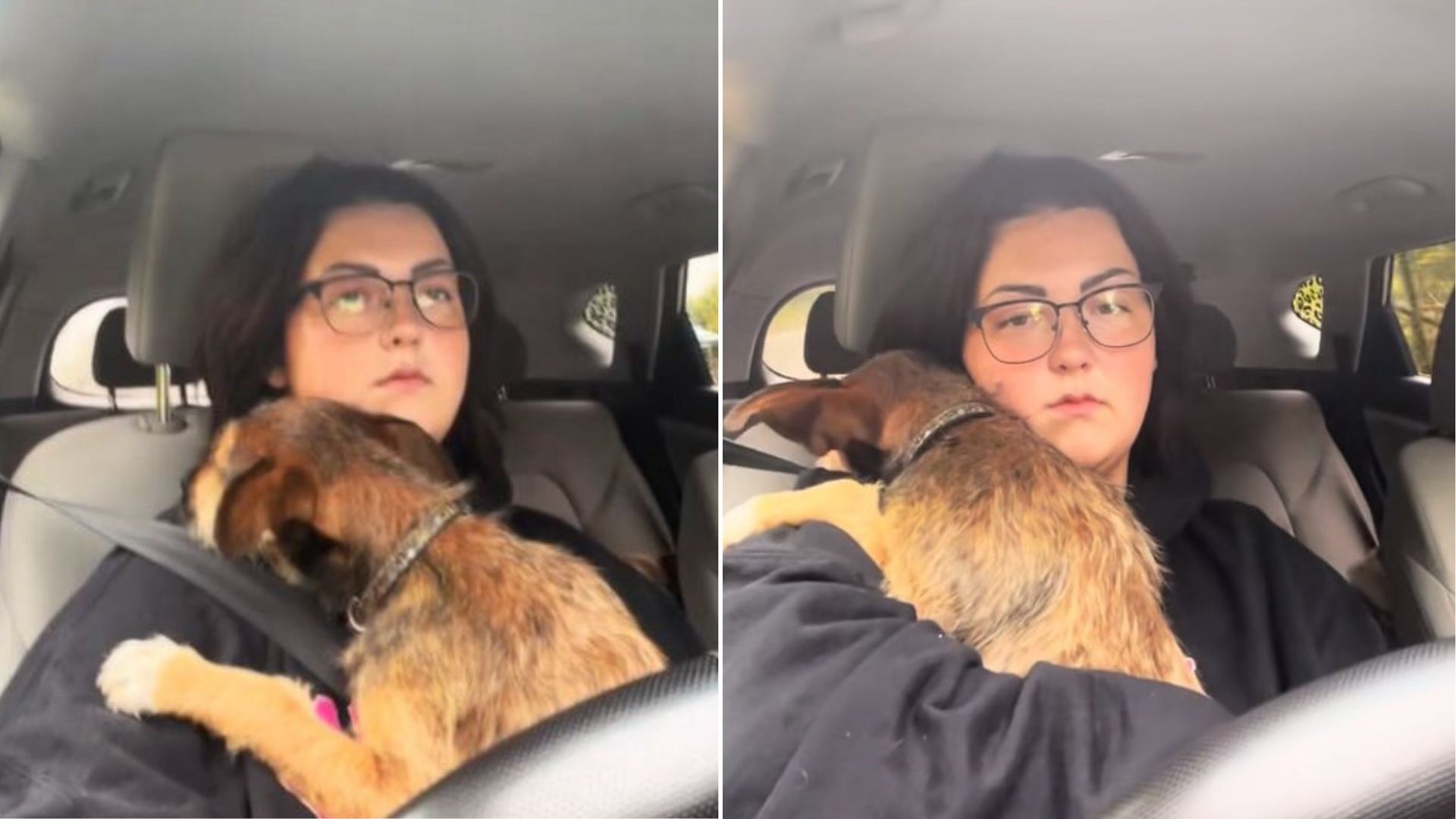 Tennessee Woman’s Gentle Care Helps Dog Conquer Heartbreaking Fear Of Car Rides