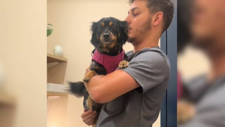 man holding dog