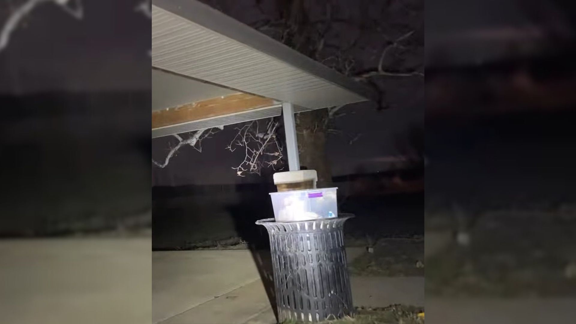 puppy in trash can