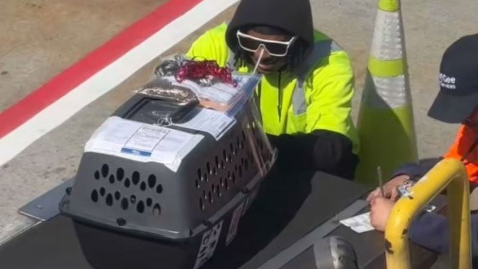Washington’s Airport Staff Are Left Speechless By An Unexpected Find In A Kennel