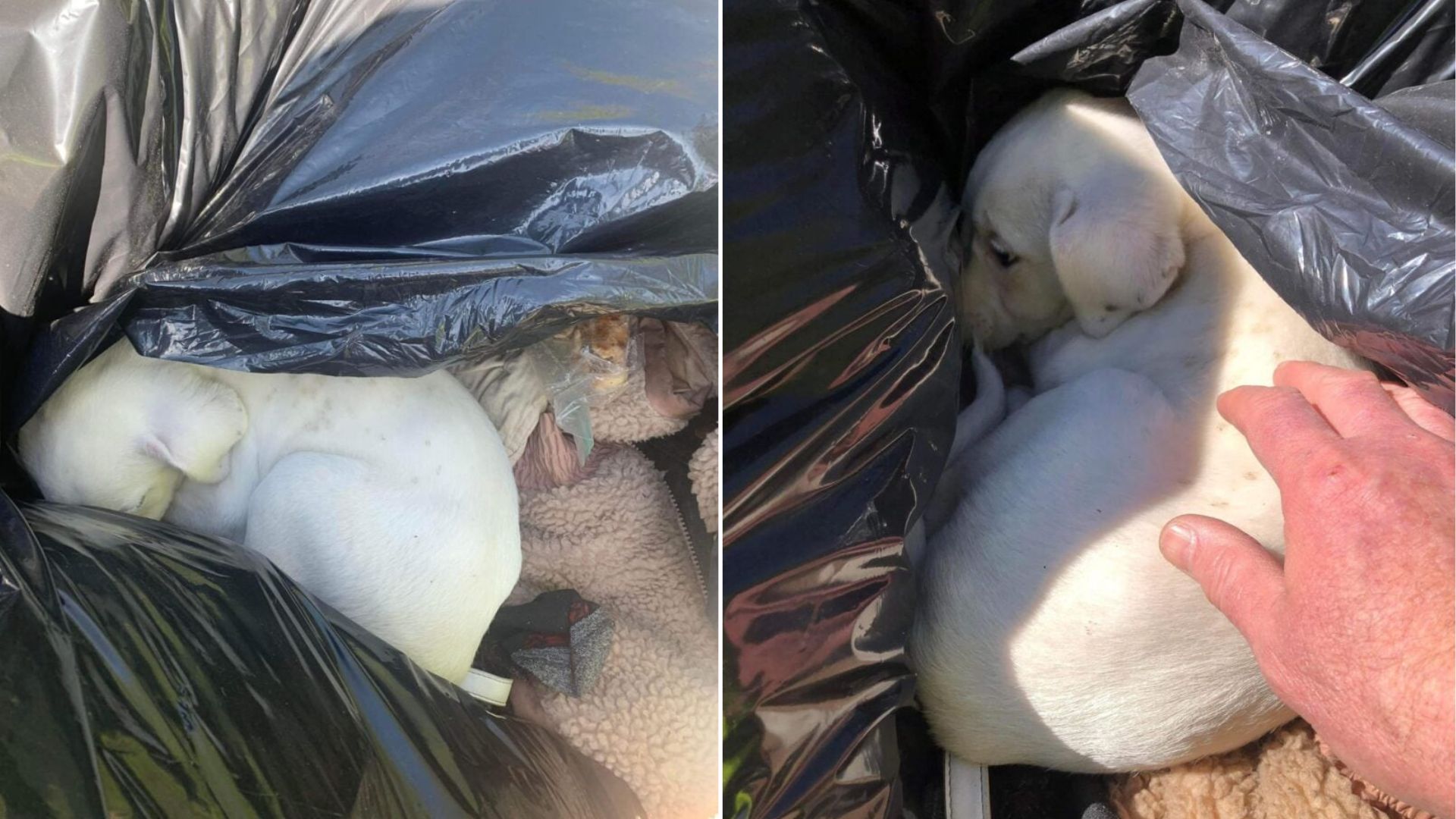 Worker Finds Something Unthinkable Inside A Trash Bag During Clean-Up In Missouri