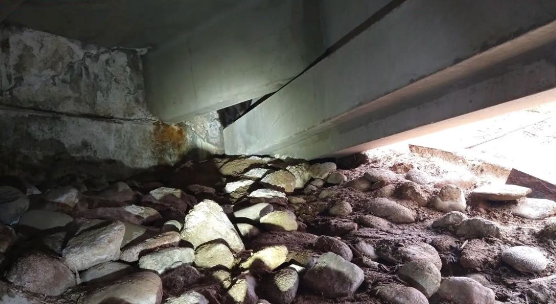 animal under parking lot