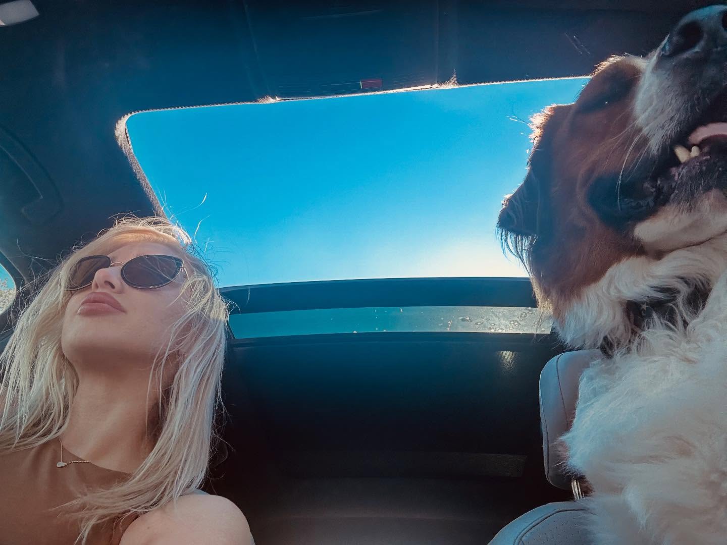 blonde woman and dog in car