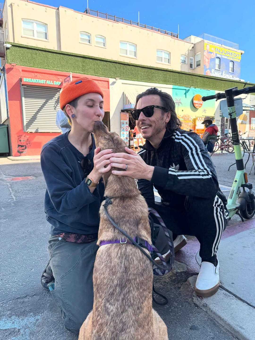 couple and brown dog