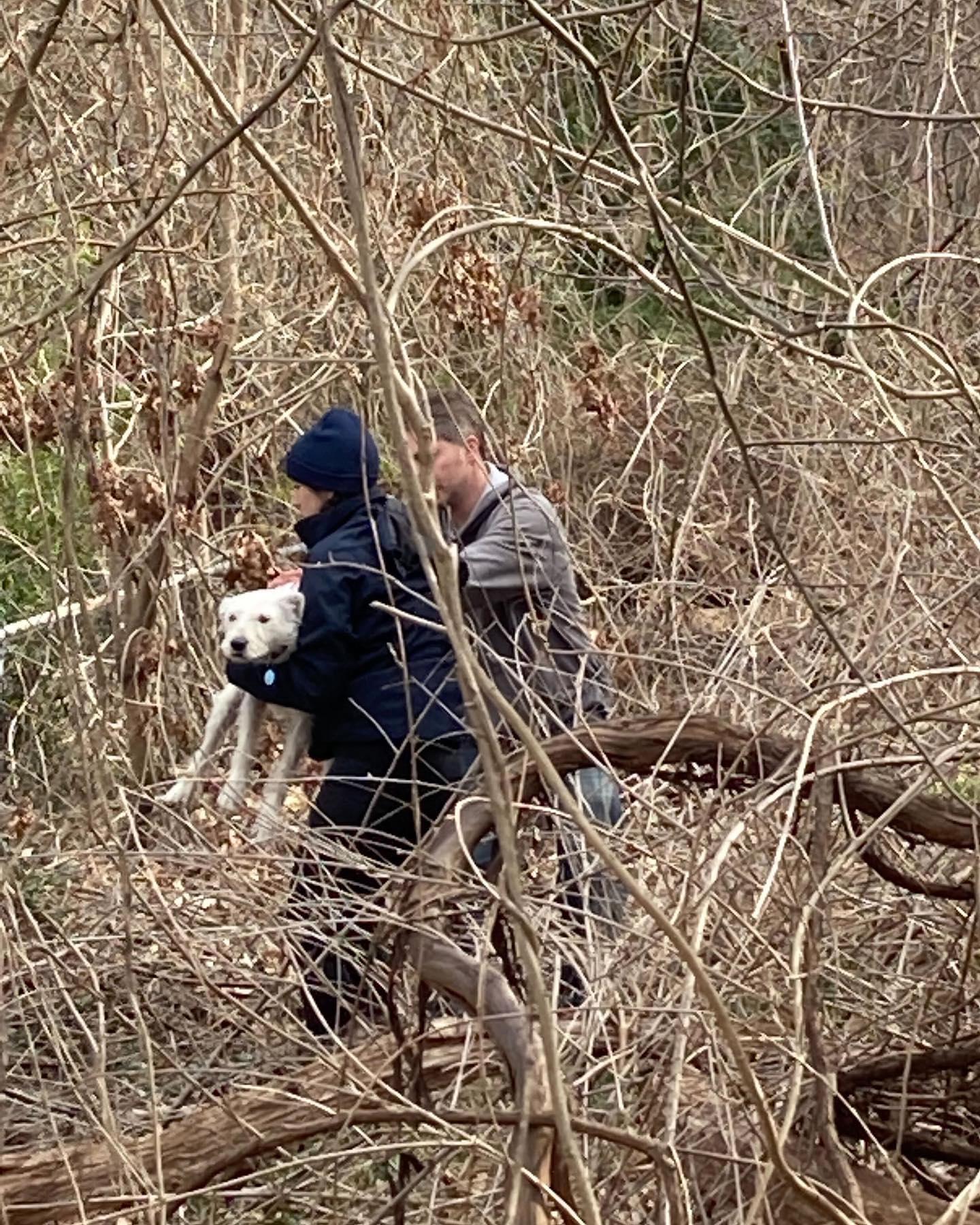 couple and dog in forest