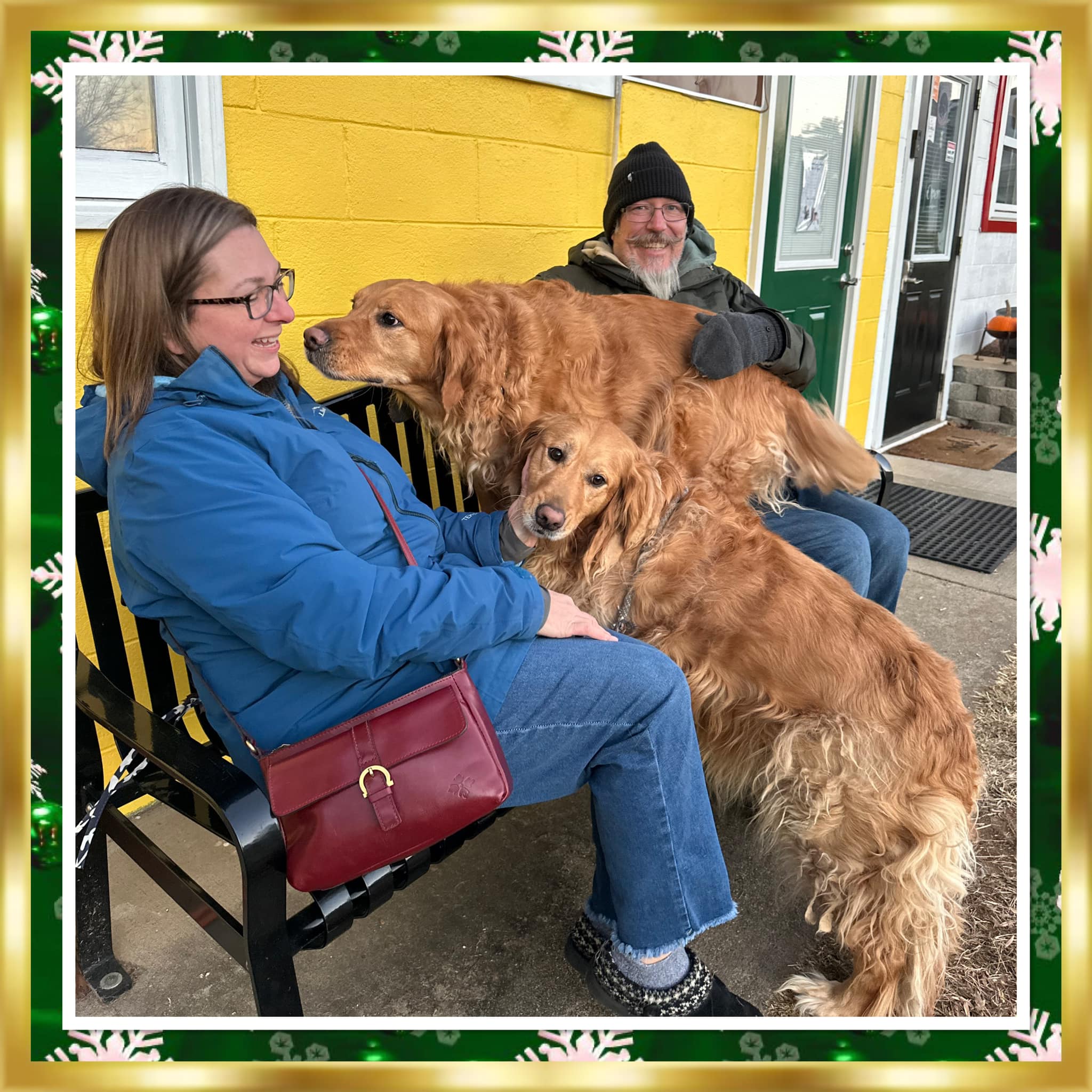 couple and two Golden Retriever