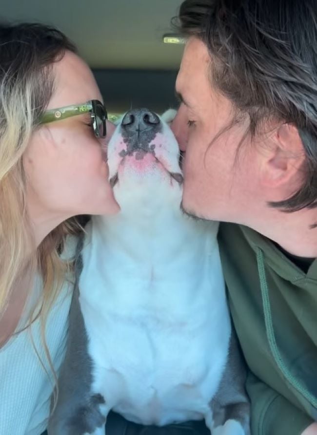 couple kissing a dog