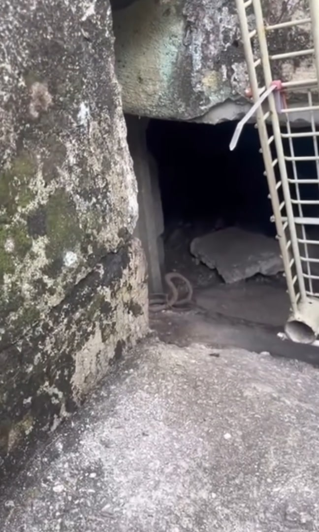 crawl space