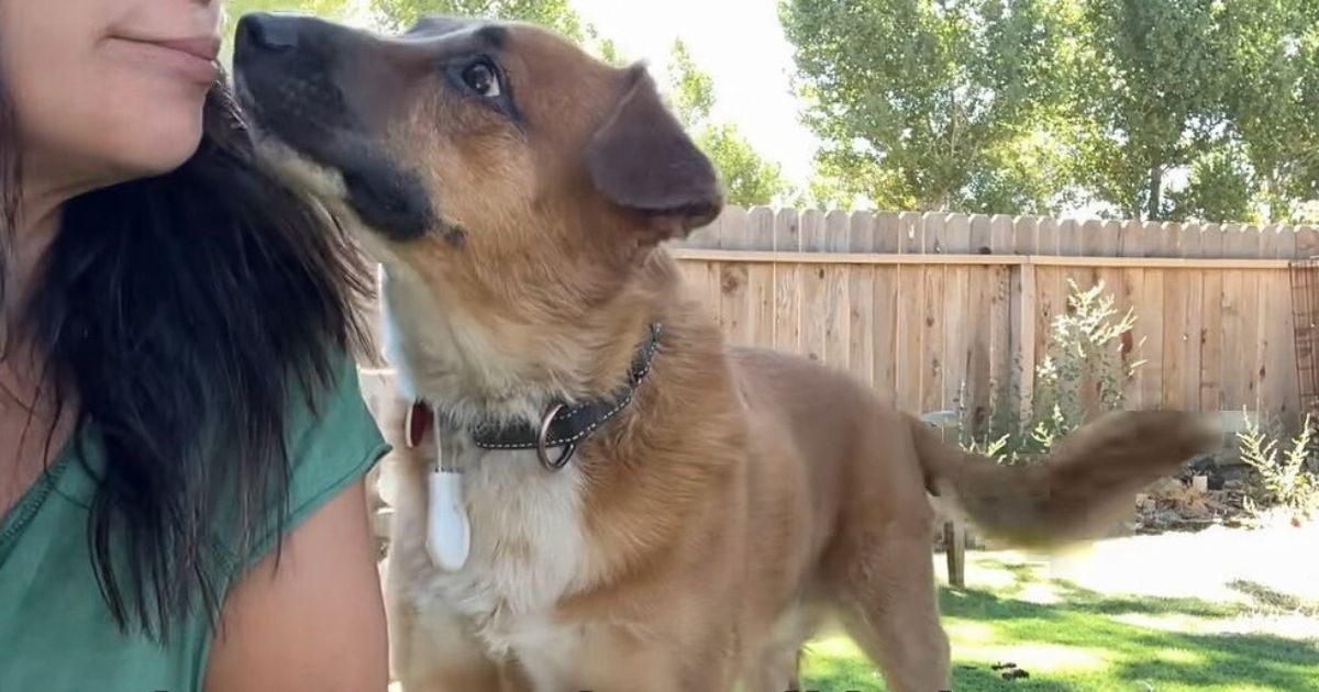 dog and woman in the yard