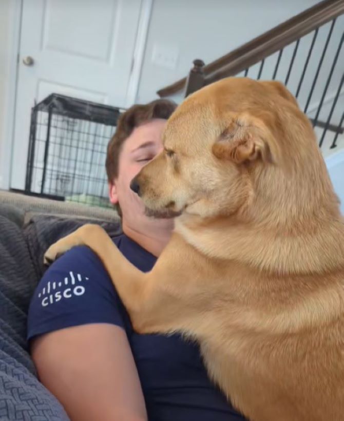 dog hugging the man