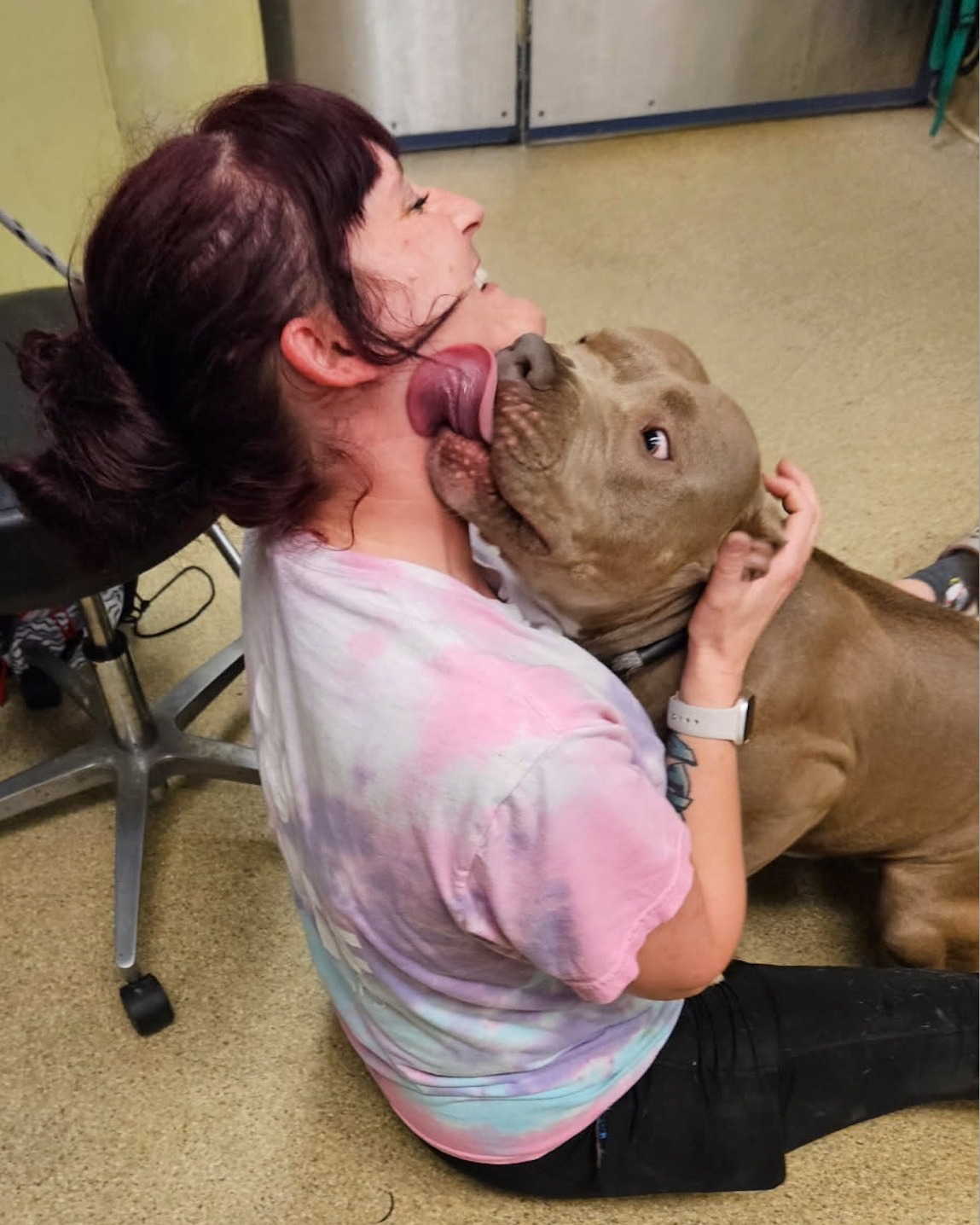 dog licking woman's face
