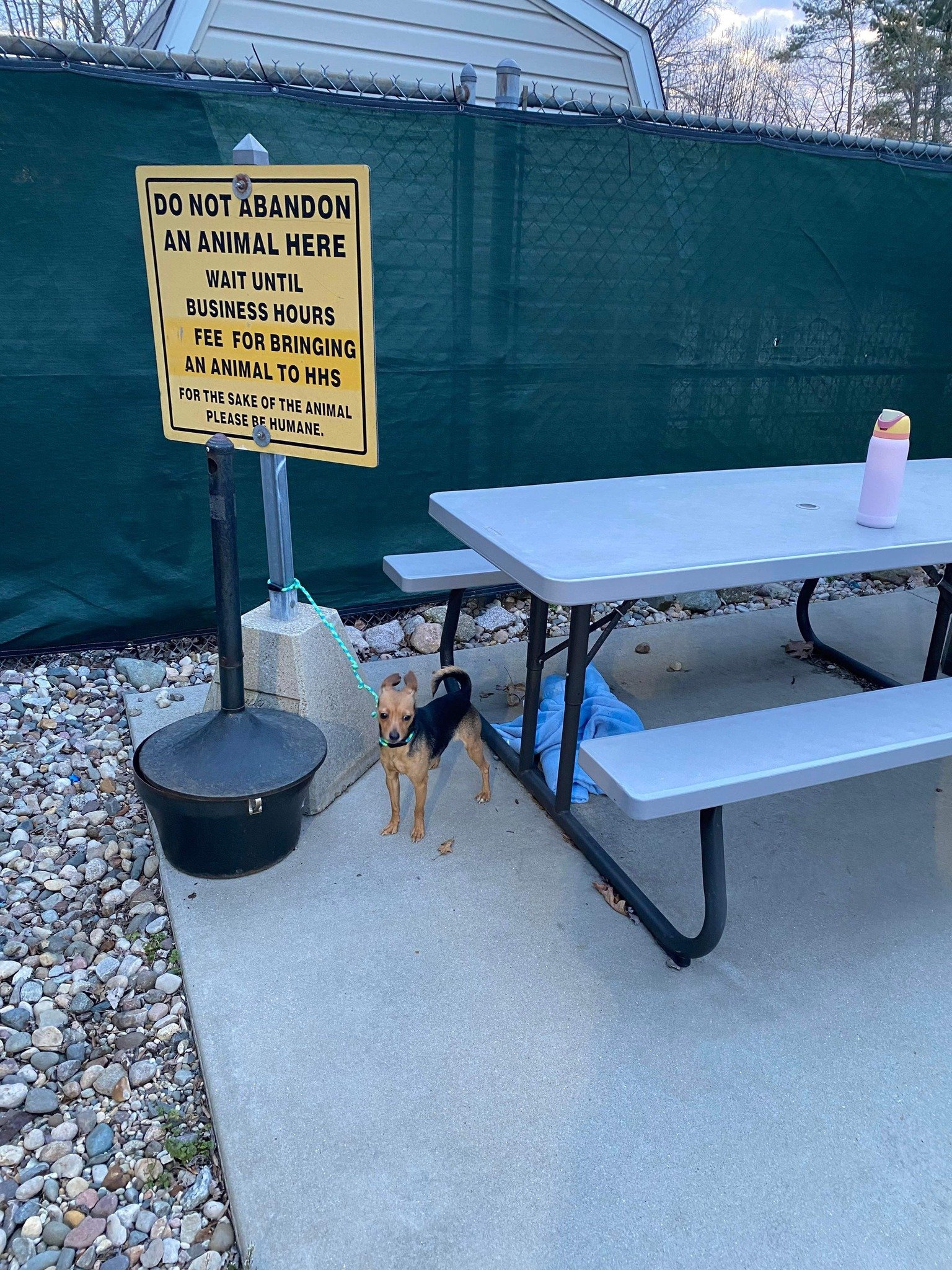 dog tied to a sign