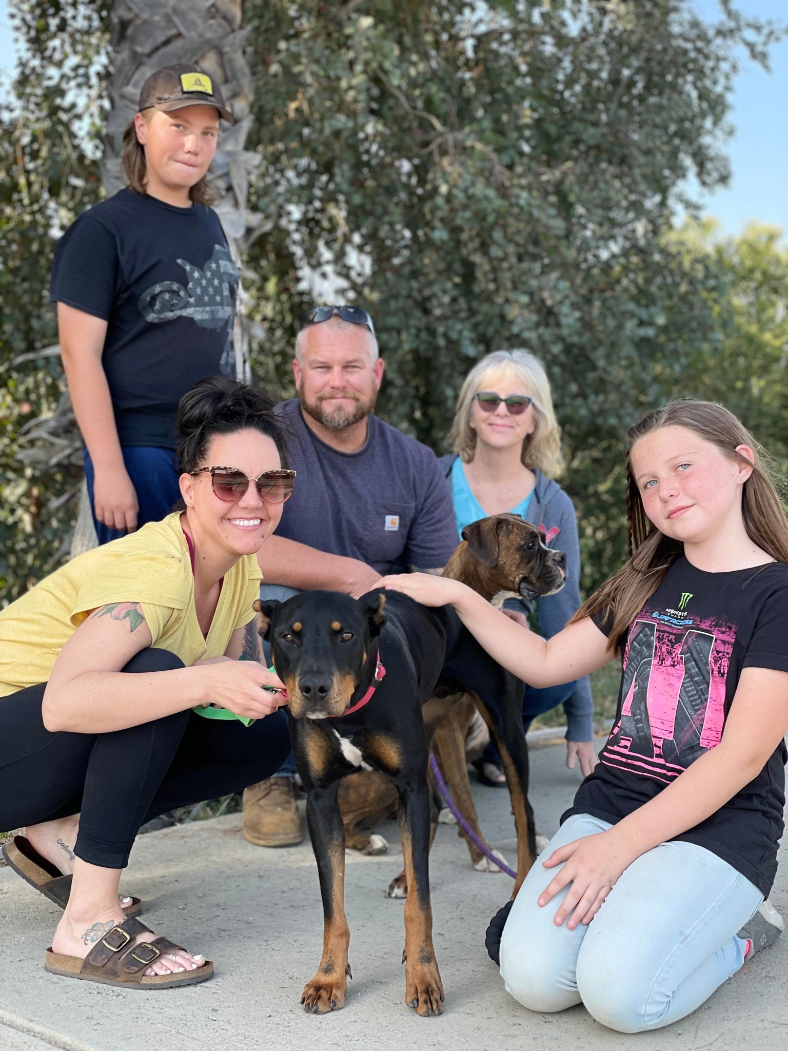 family and dogs