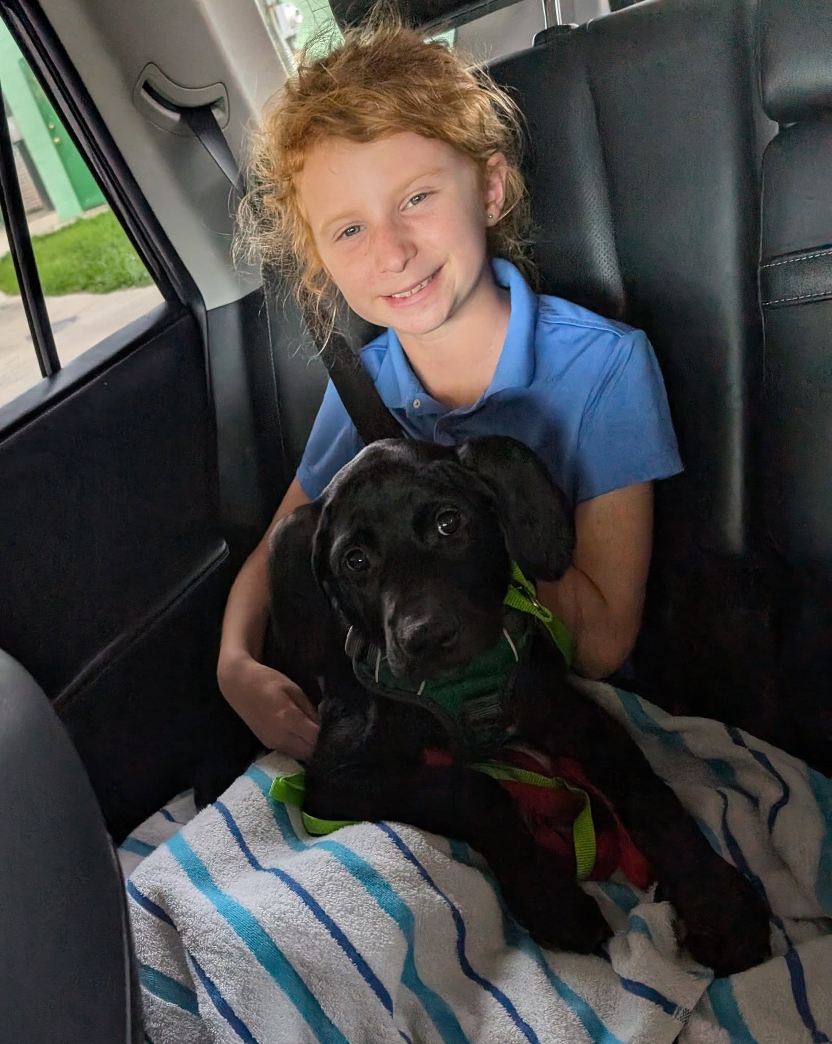 kid and black puppy