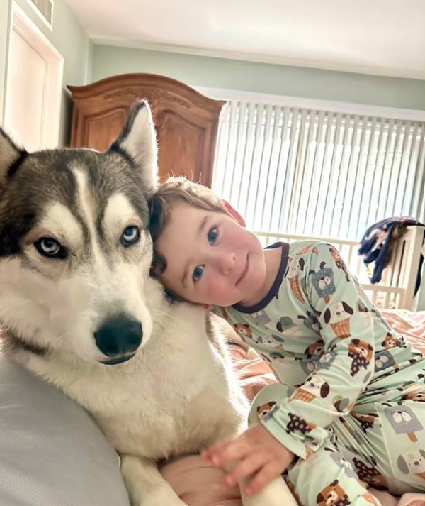 little boy hugging the husky