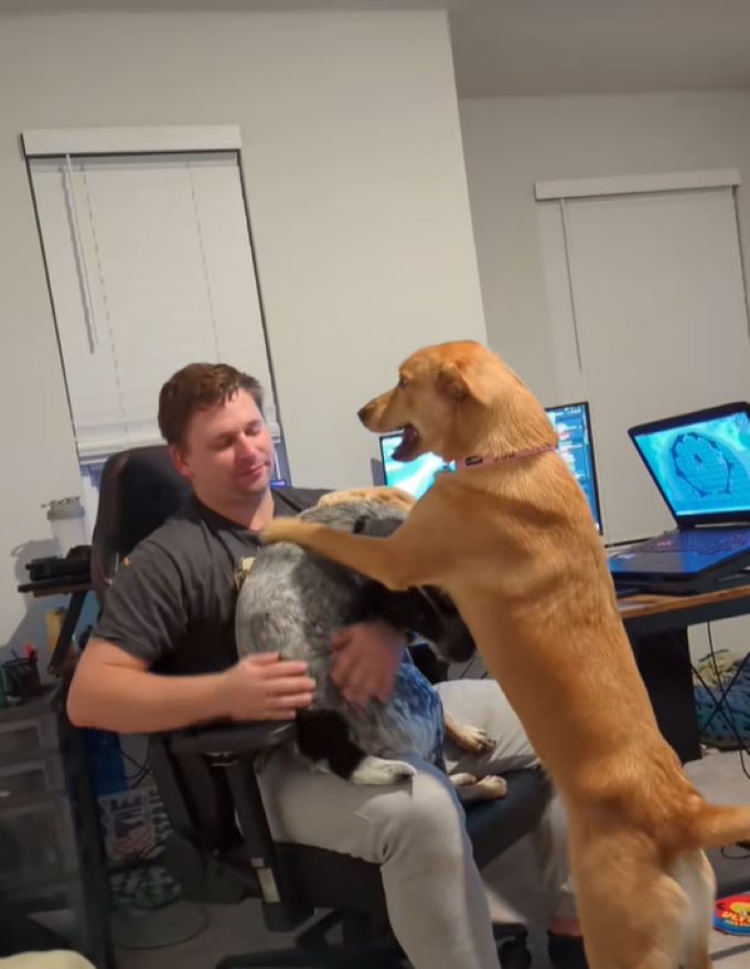 man and a dog