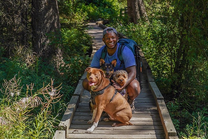 man and dogs on a hike