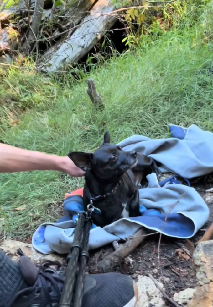 man and stray black dog