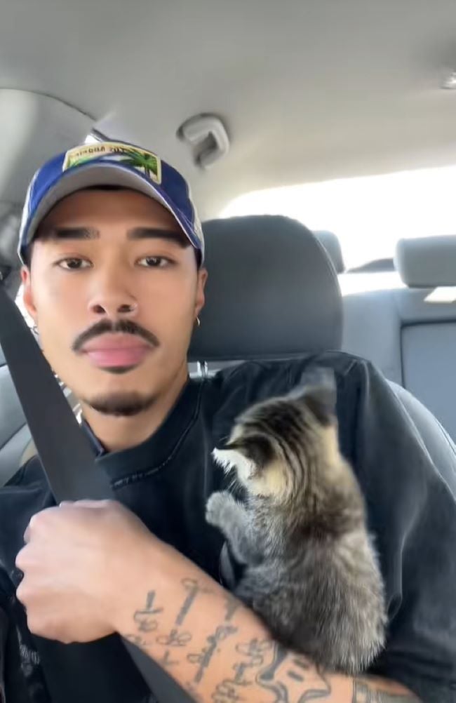 man and tiny kitten