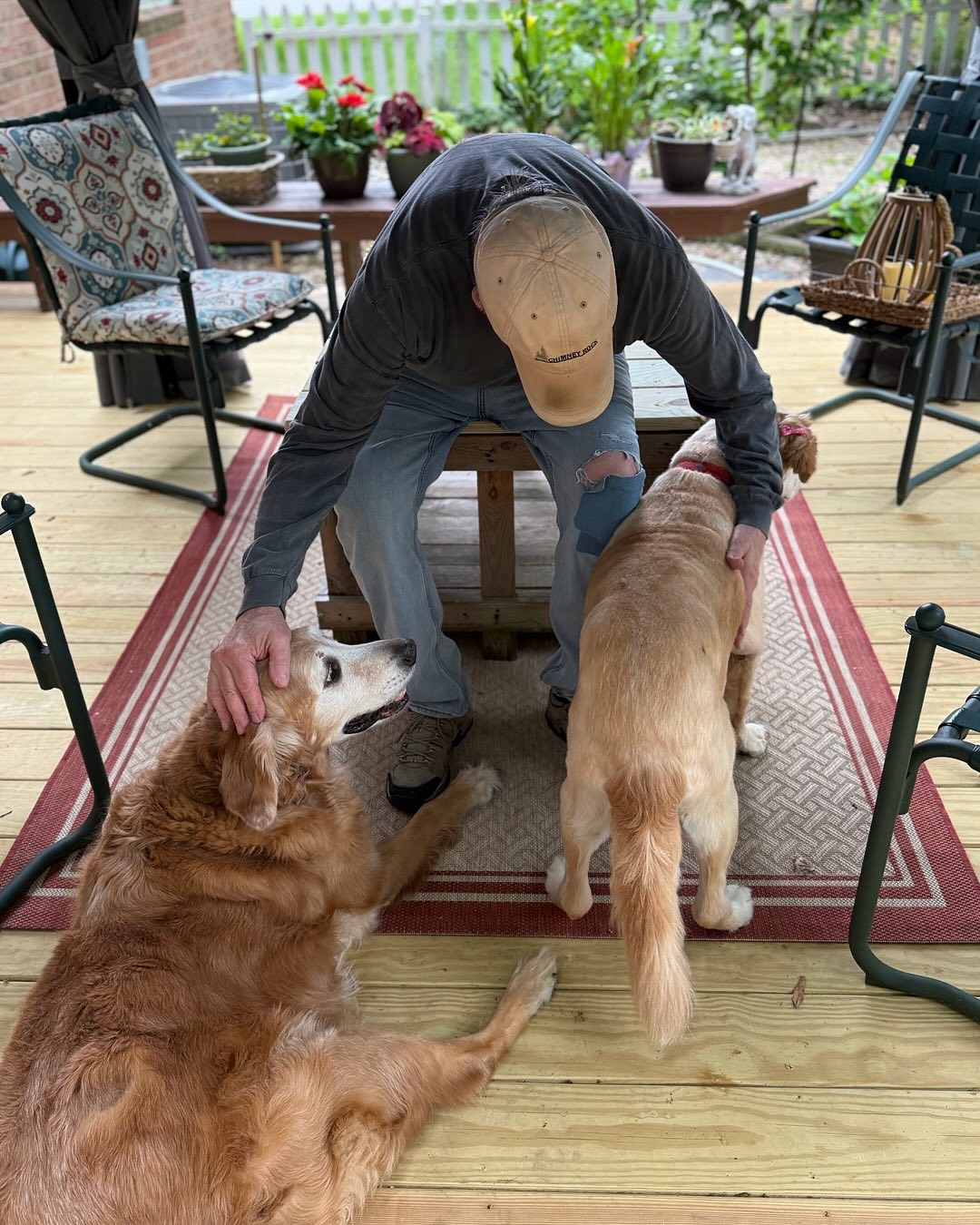 man and two dogs