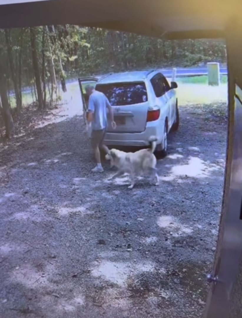 man dumping a dog
