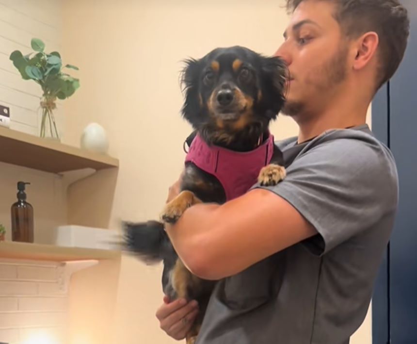 man holding a black dog