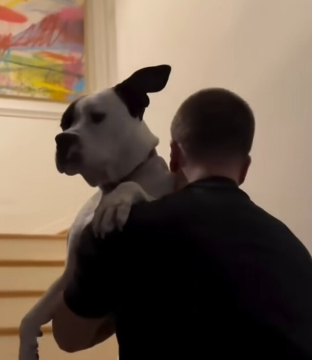 man holding a dog
