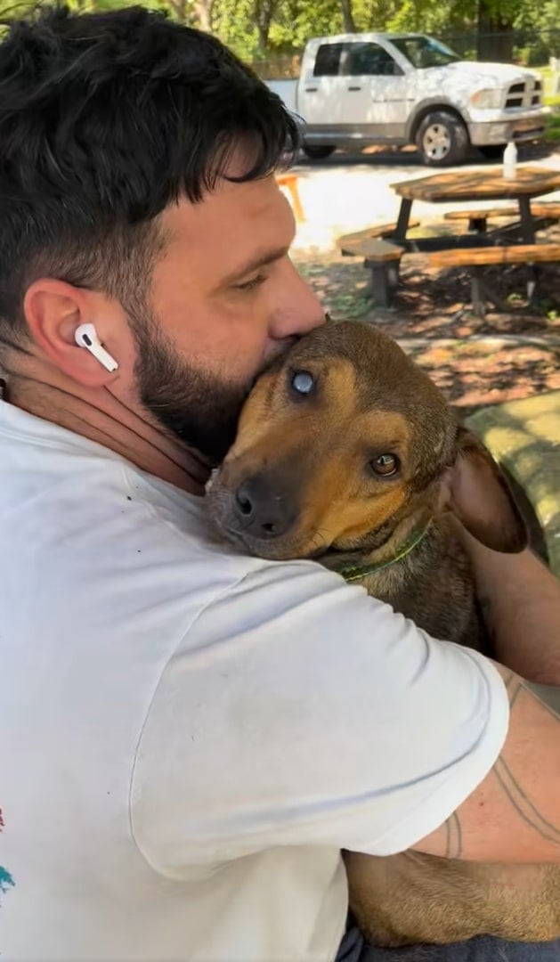 man hugging a brown dog