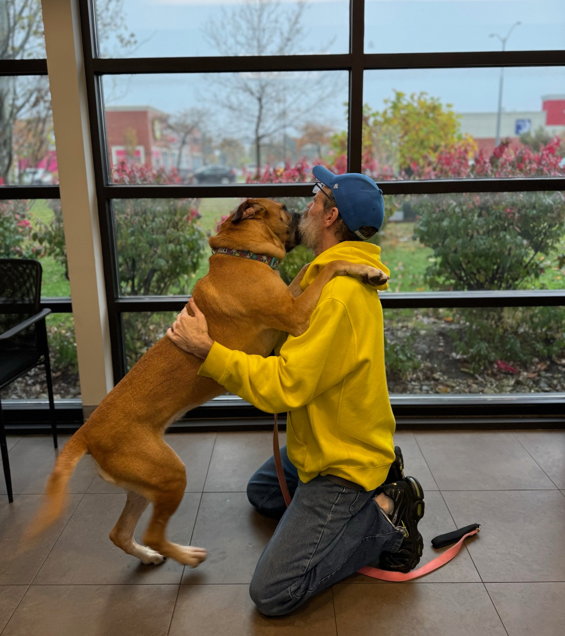 man kissing a dog