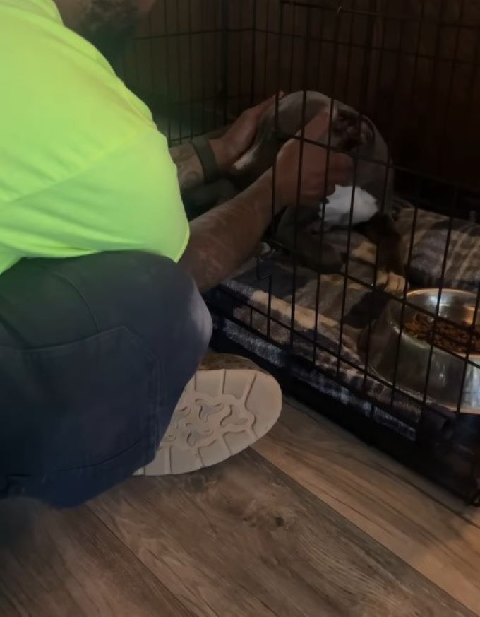 man petting a cute dog