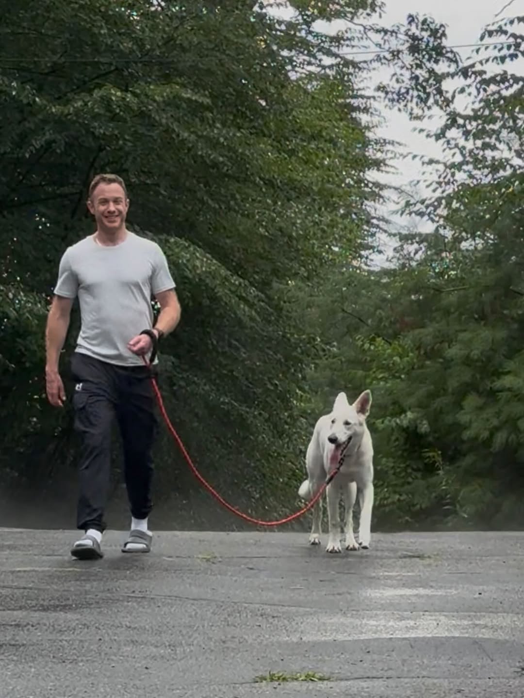 man walking a white dog