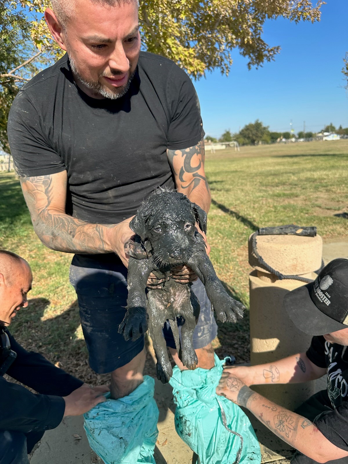 muddy puppy