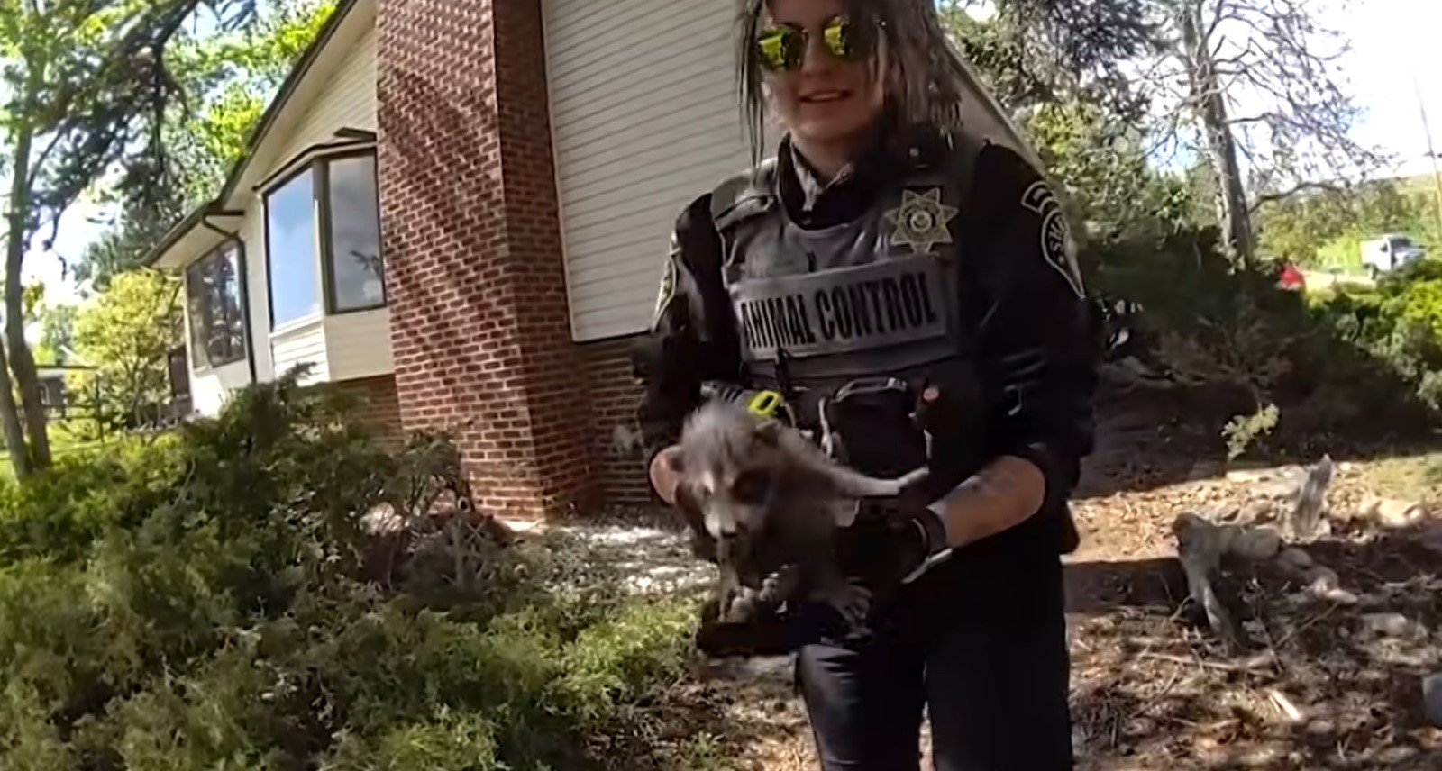 officer holding a raccoon