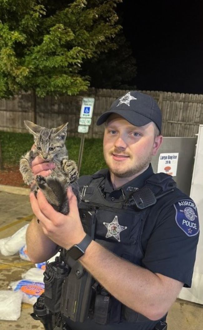 officers holding a kitten