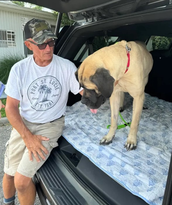 old man and big dog