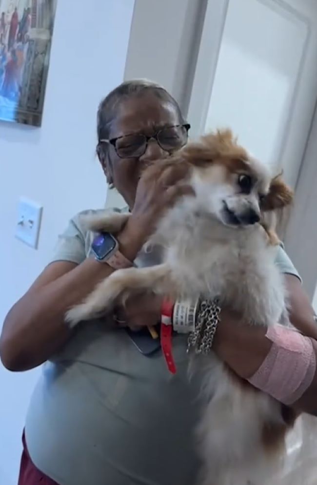 old woman holding a tiny dog
