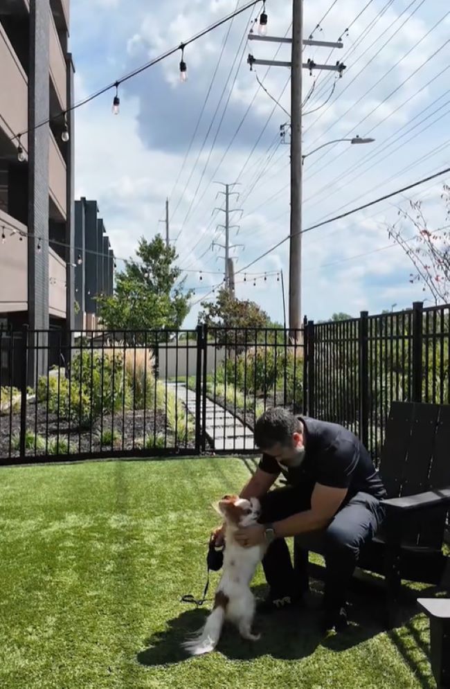 owner playing with his dog