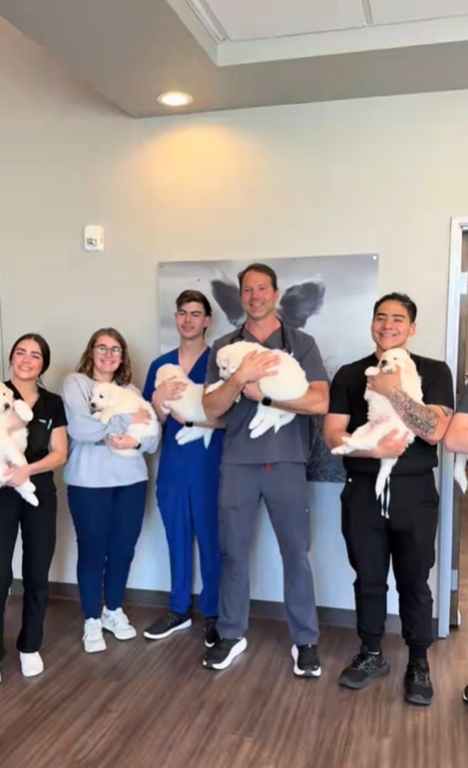 people holding dogs