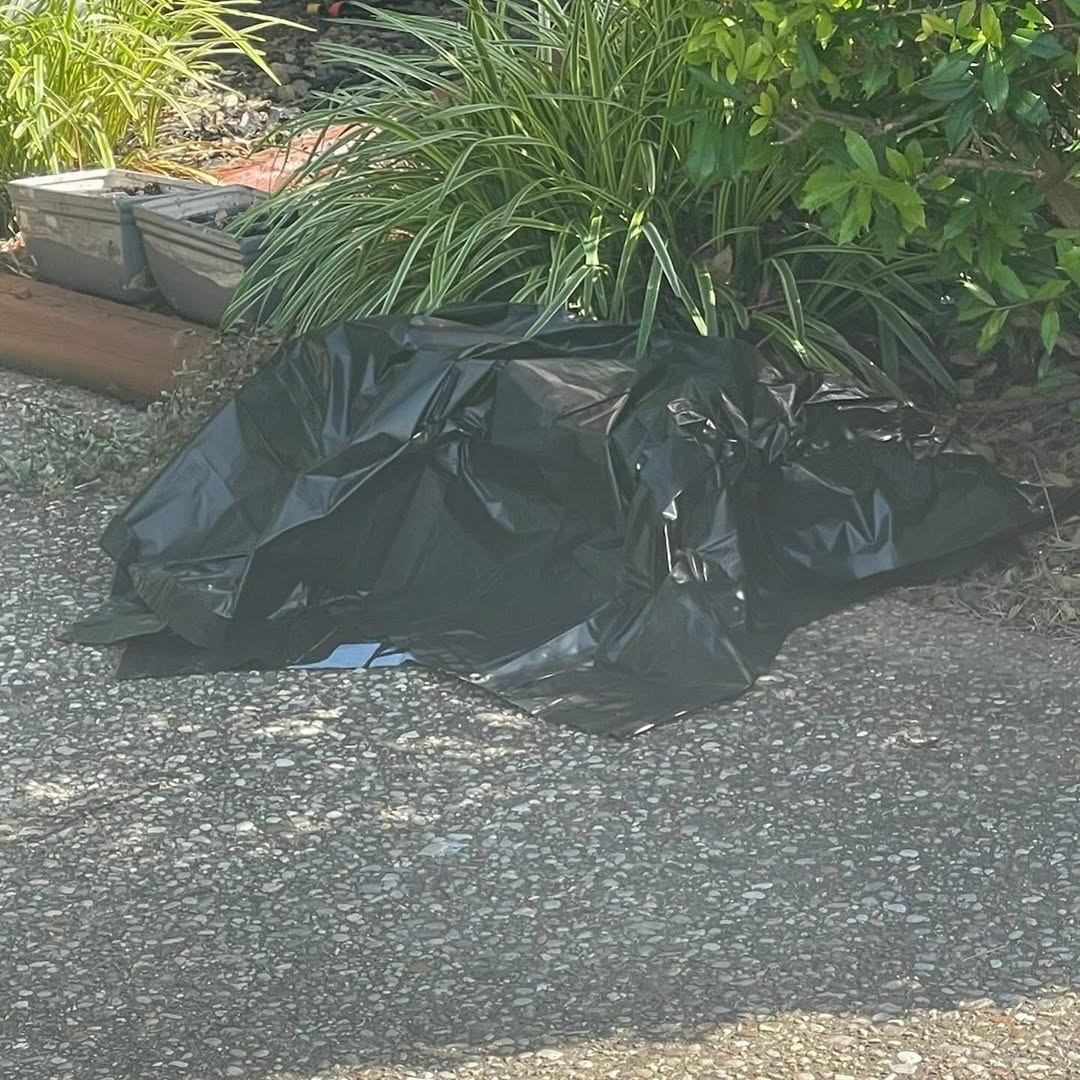 plastic bag