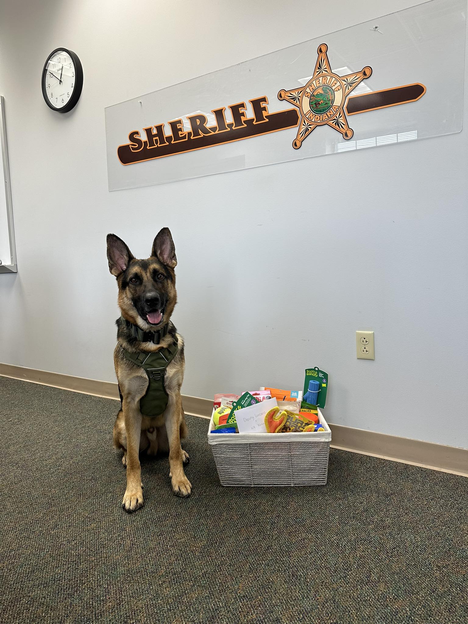 police dog