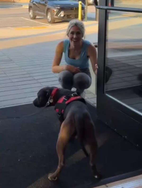 shelter dog meeting new owner