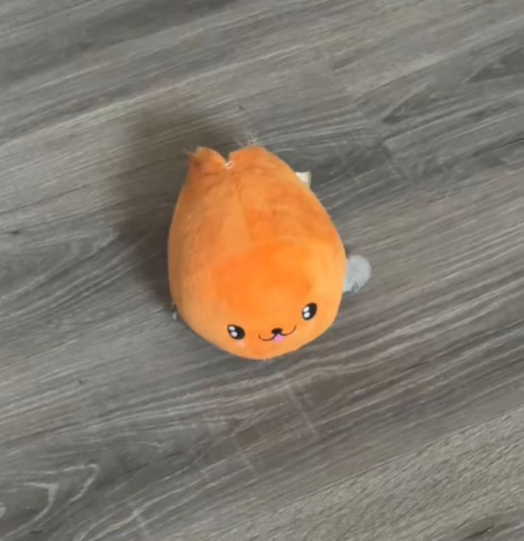 toy on floor