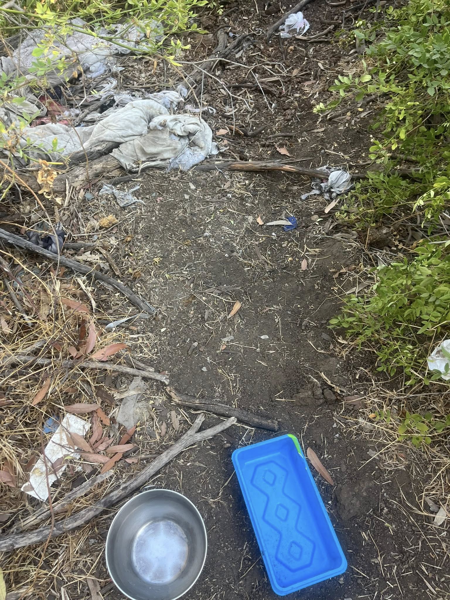 trash in forest