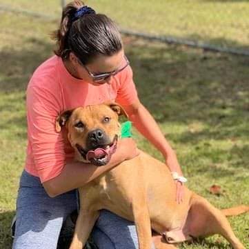 woman and brown dog