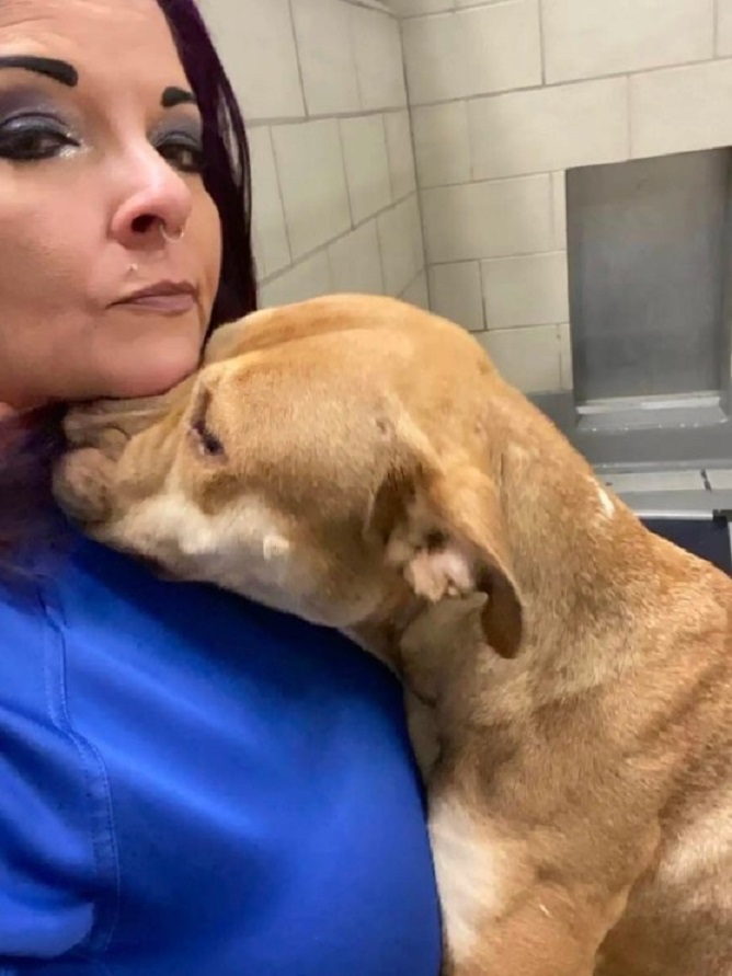 woman and dog in shelter