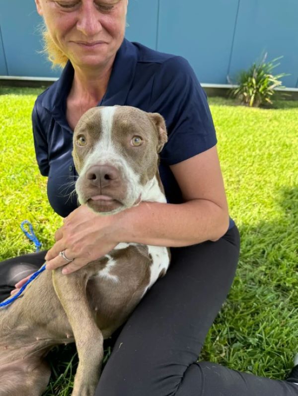 woman and dog sitting on grass