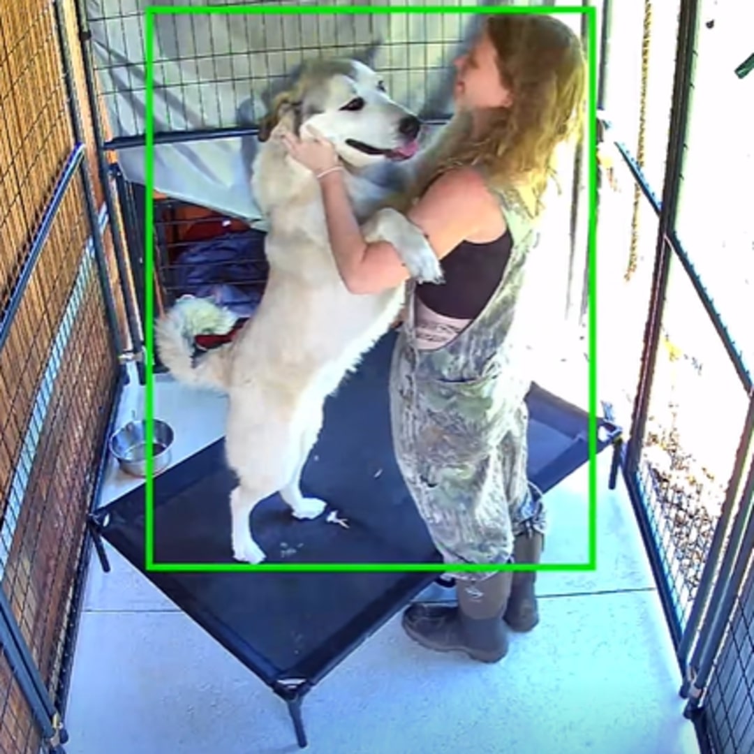woman and giant dog