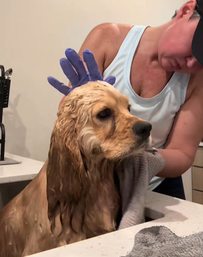 woman and sad dog