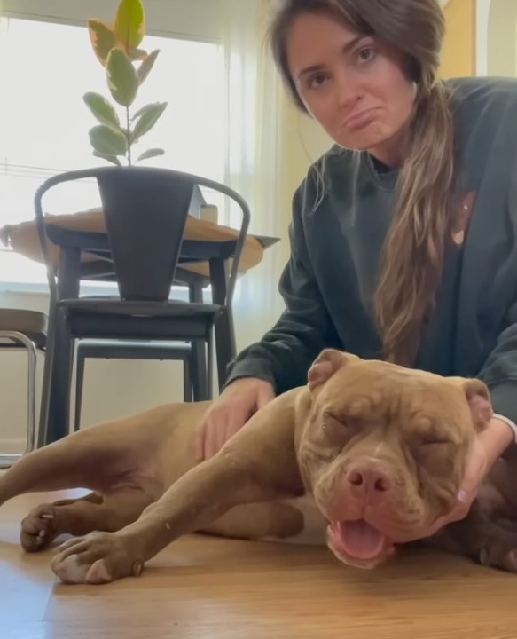 woman and sweet brown dog in house